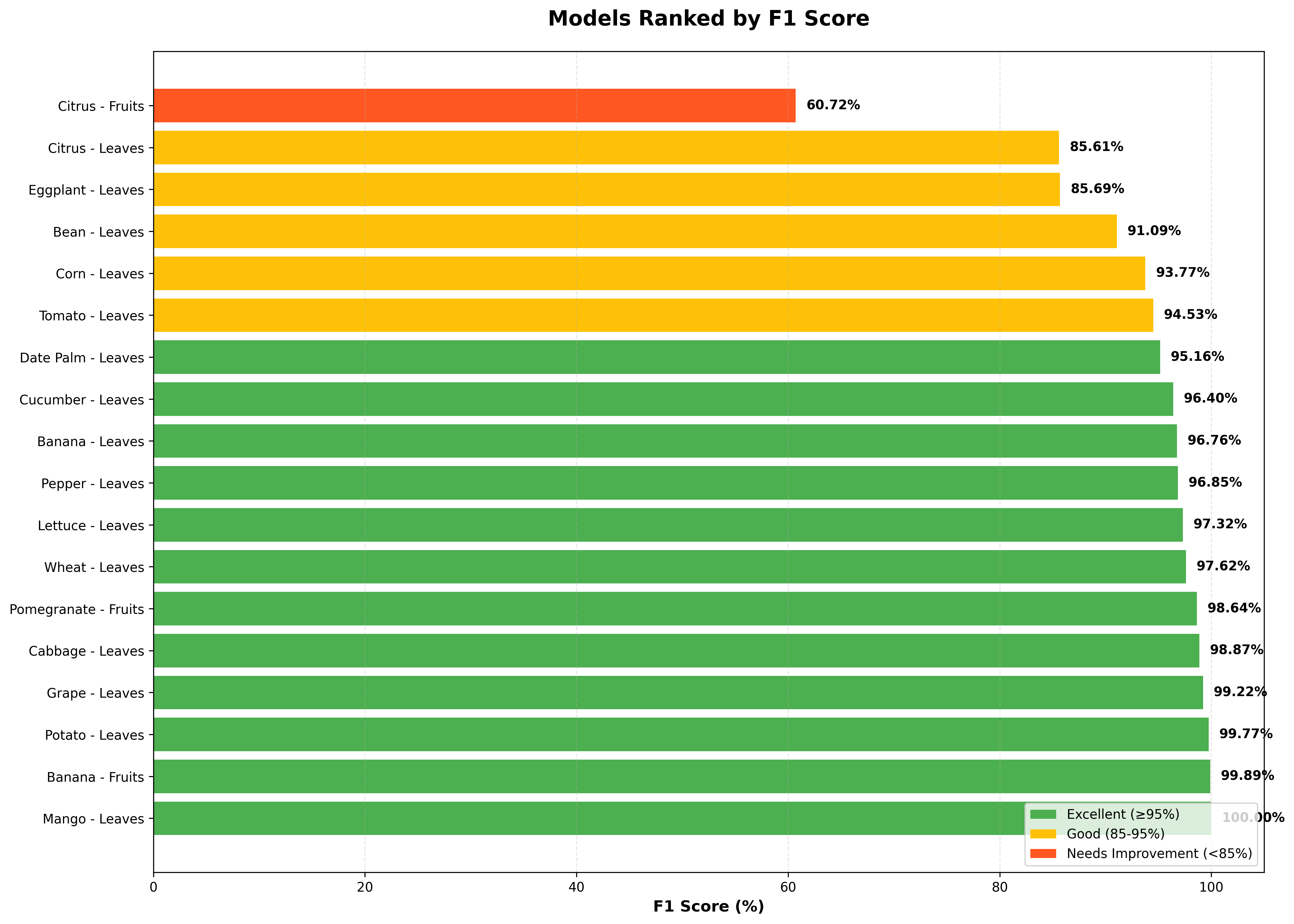 F1 Score Ranking by Model